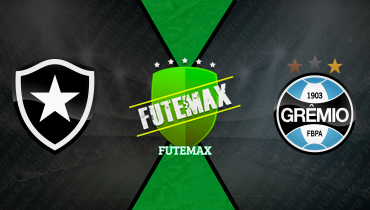 Assistir Botafogo x Grêmio ao vivo online 22/11/2025